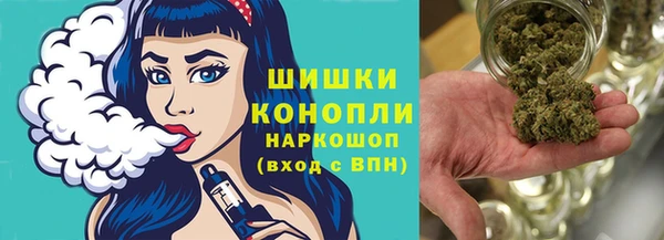 прущие грибы Карталы
