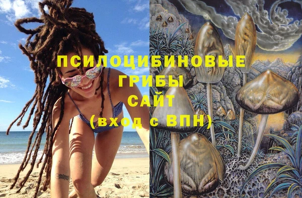 прущие грибы Карталы