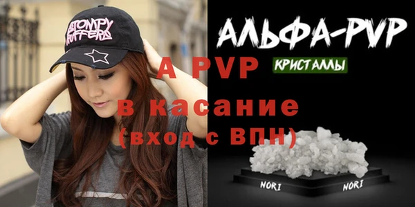 индика Касимов
