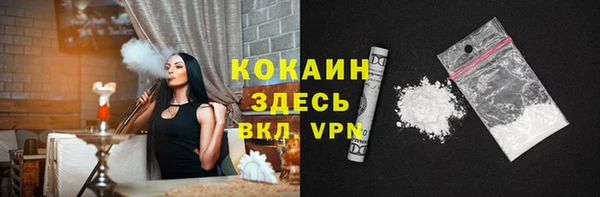 индика Касимов