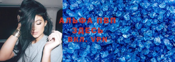 стафф Карпинск