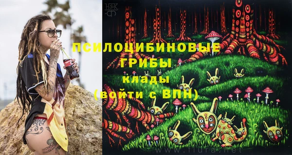 прущие грибы Карталы