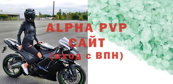 индика Касимов