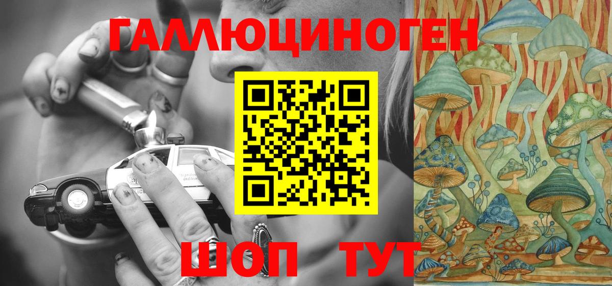 Галлюциногенные грибы Cubensis Нефтекумск
