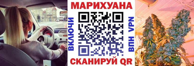 Марихуана сатива  hydra   Нефтекумск  даркнет сайт 